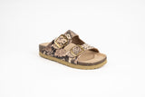 Sandalia Clover dos hebillas vibora Kiko's Shoes