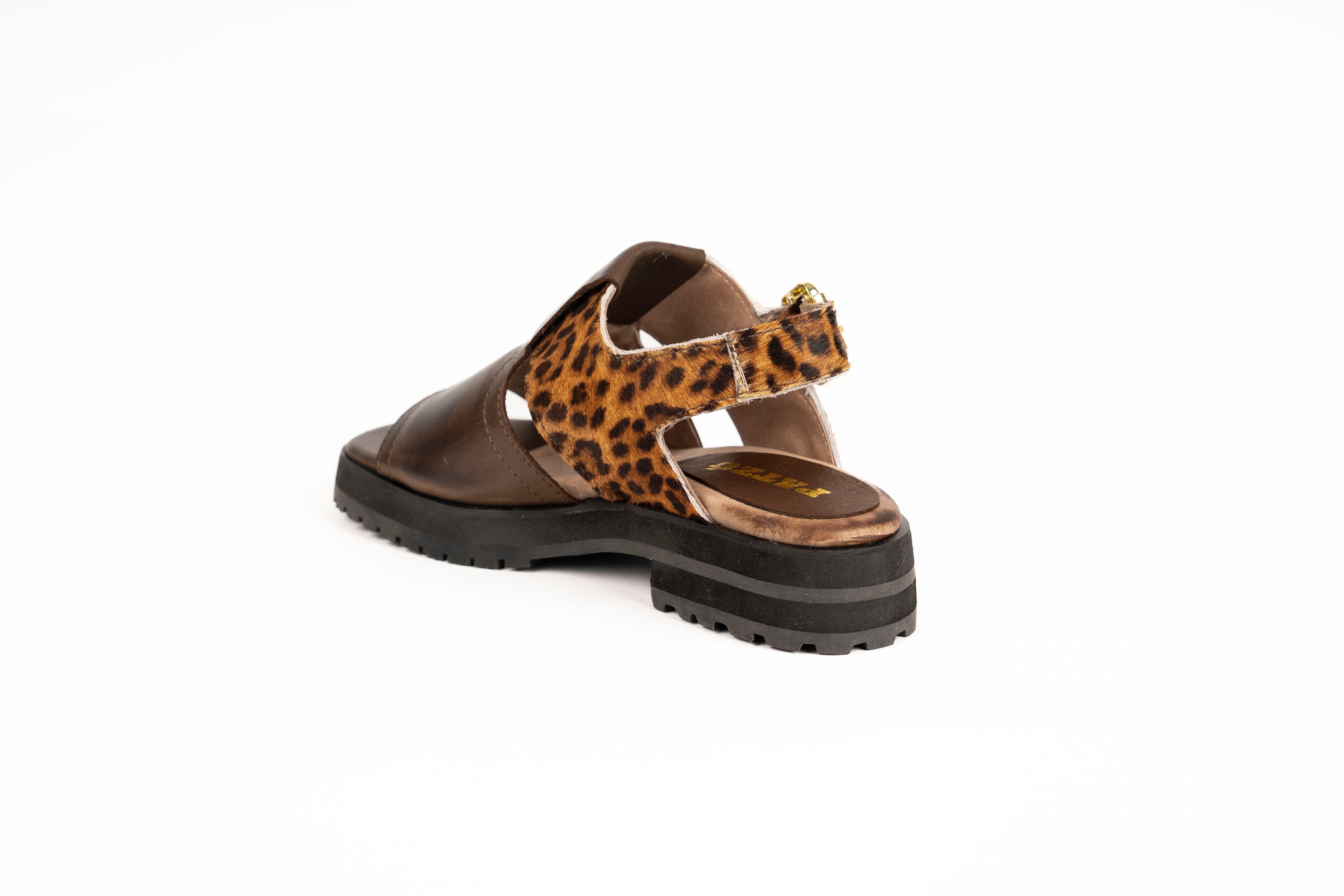 Caroline Chocolate print