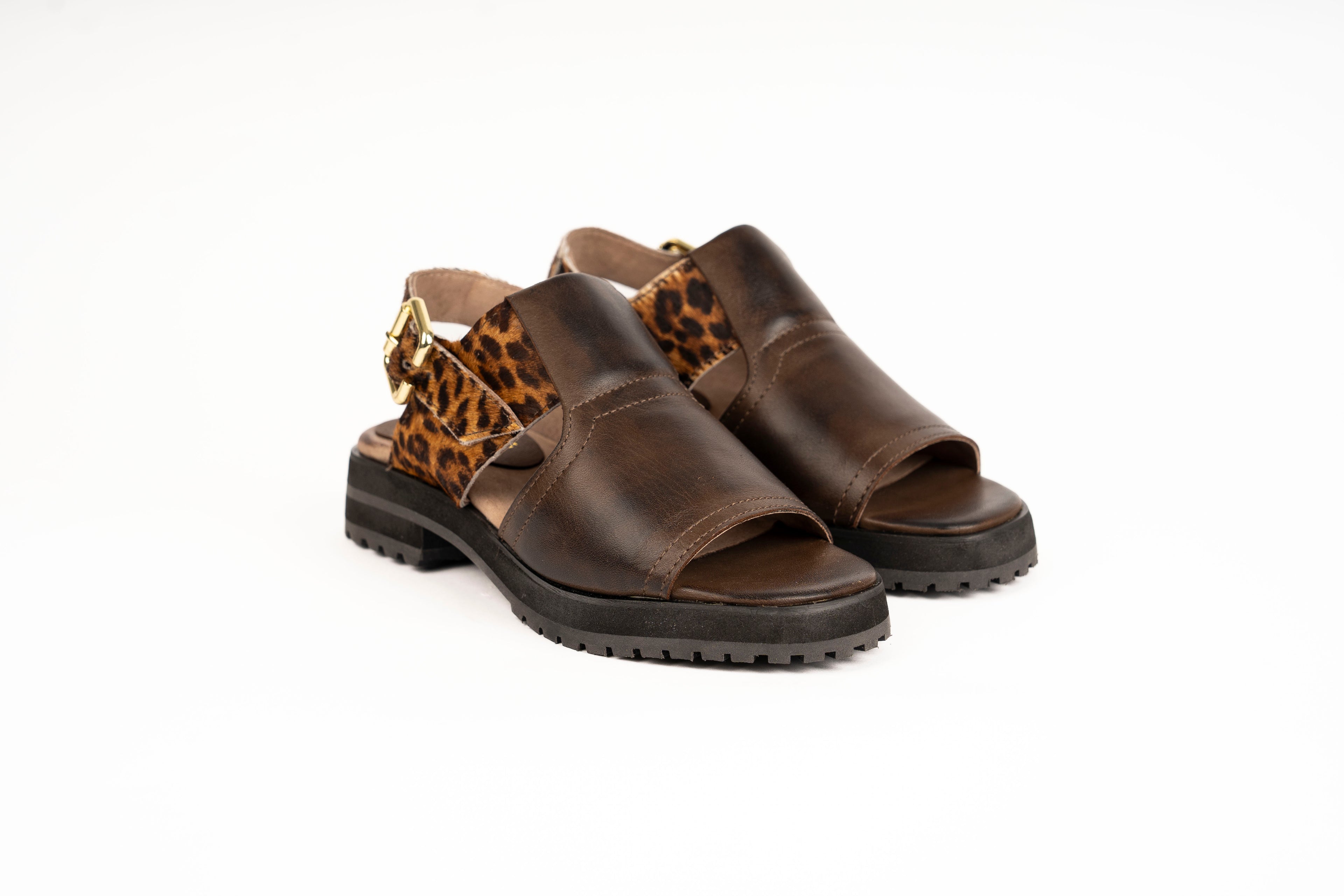 Caroline Chocolate print