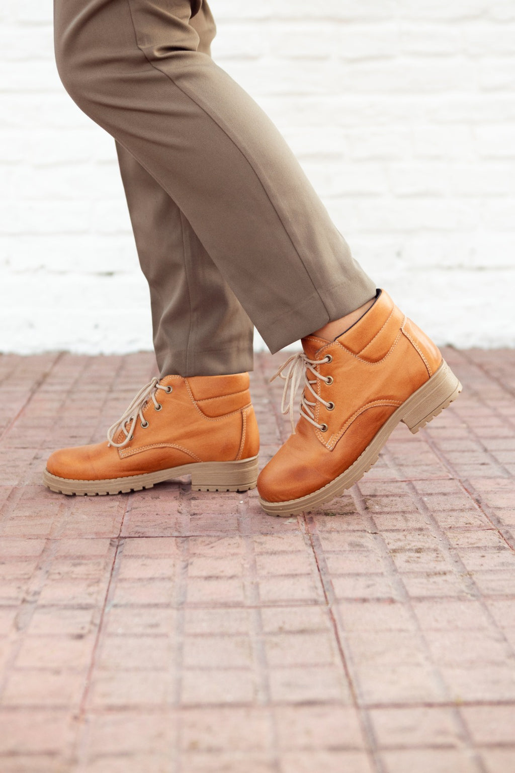 Rosa Terracota Vanzetti