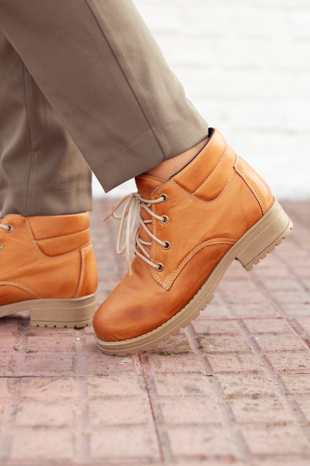 Rosa Terracota Vanzetti