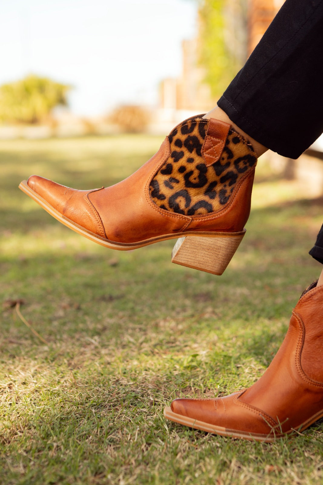 Texana Tucson Print