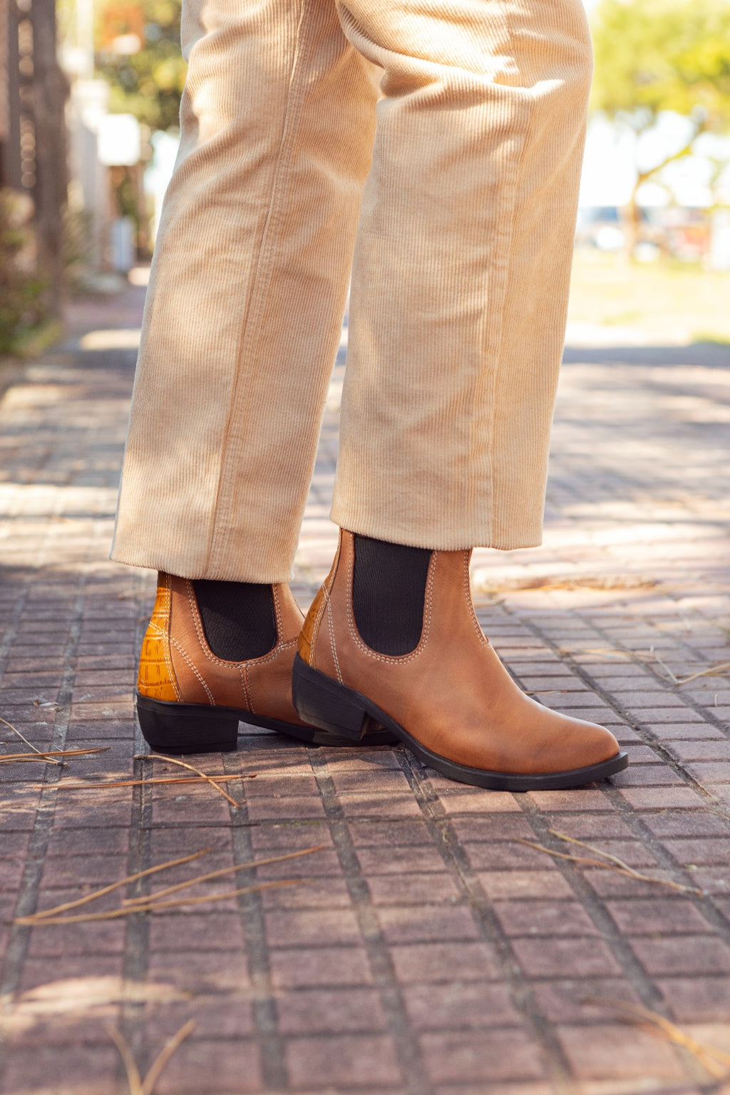 Luna Terracota Vanzetti